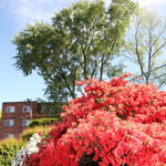Edsall Garden Apt Photo